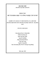 nghiên cứu hành vi vì môi trường của giới trẻ trường hợp sinh viên trường đại học kinh tế đại học huế