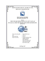tiểu luận phân tích hệ thống kinh tế của mỹ và hy lạpđưa ra lựa chọn thị trường hoạt động kinh doanhquốc tế