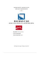 tiểu luận báo cáo hành vi mua hàng báo cáo hành vi mua hàng coca cola