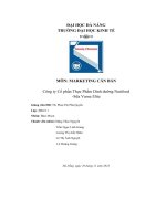 tiểu luận môn marketing căn bản công ty cổ phần thực phẩm dinh dưỡng nutifood sữa varna elite
