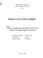 nâng cao hiệu quả sử dụng tài sản tại công ty cổ phần điện lực gelex