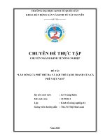 Chuyên đề thực tập: Làn sóng cà phê thứ ba và lợi thế cạnh tranh của cà phê Việt Nam