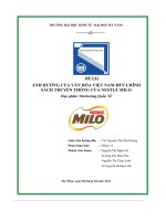 tiểu luận đề tài ảnh hưởng của văn hóa việt nam đến chínhsách truyền thông của nestlé milo
