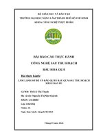 bài báo cáo thực hành công nghệ sau thu hoạch rau hoa quả bài thực hành làm lạnh sơ bộ và bảo quản rau quả sau thu hoạch bằng bao pe