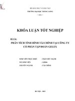 phân tích tình hình tài chính tại công ty cổ phần tập đoàn gelex