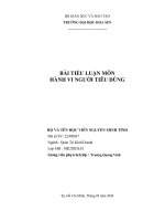 tiểu luận hành vi của người tiêu dùng và ra quyết định đối với sản phẩm của katinat