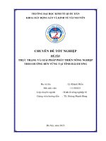 Chuyên đề tốt nghiệp: Thực trạng và giải pháp phát triển nông nghiệp theo hướng bền vững tại tỉnh Hải Dương
