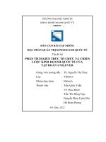 tiểu luận phân tích kiến trúc tổ chức và chiến lược kinh doanh quốc tế của tập đoàn unilever