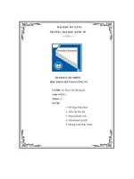 tiểu luận báo cáo nhóm học phần kế toán công ty công ty cổ phần tập đoàn hoa sen