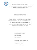 Analyzing of the import process items granite stone slabs full container load by sea at tan toan cau production service tourism trading import export joint stock company branch