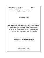 đặc điểm lâm sàng hình ảnh siêu âm doppler chụp cắt lớp vi tính mạch máu ở bệnh nhân bệnh động mạch chi dưới mạn tính điều trị tại bệnh viện trung ương thái nguyên