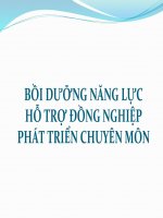 BỒI DƯỠNG NĂNG LỰC HỖ TRỢ ĐỒNG NGHIỆP PHÁT TRIỂN CHUYÊN MÔN