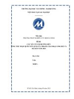 [ TIỂU LUẬN THẠC SĨ ] CÁC YẾU TỐ ẢNH HƯỞNG ĐẾN  TỔNG THU NHẬP QUỐC DÂN (GNI) CỦA BRAZIL GIAI ĐOẠN 1996-2022 VÀ DỰ BÁO NĂM 2024