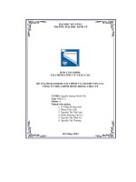 tiểu luận đề tài hoạch định tài chính và chi phí vốn củacông ty nhựa bình minh trong thực tế