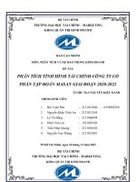 PHÂN TÍCH TÌNH HÌNH TÀI CHÍNH CÔNG TY CỔ PHẦN TẬP ĐOÀN MASAN GIAI ĐOẠN 2020-2022