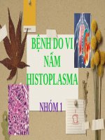 bệnh do vi nấm histoplasma