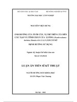 luận án tiến sĩ kỹ thuật ảnh hưởng của tuổi cây vị trí trên cây đến cấu tạo và tính chất của luồng