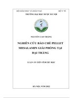 luận án tiến sĩ dược học nghiên cứu bào chế pellet mesalamin giải phóng tại đại tràng