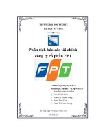 tiểu luận phân tích báo cáo tài chính công ty cổ phần fpt