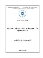 luận án tiến sĩ kinh tế đầu tư giá trị và tỷ suất sinh lời tại việt nam