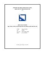 tiểu luận báo cáo cuối kìhọc phần phân tích kinh doanh trong môi trường số