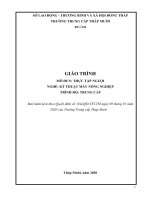 giáo trình thực tập nguội nghề kỹ thuật máy nông nghiệp trung cấp