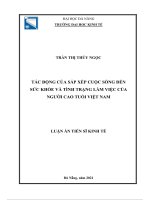 luận án tiến sĩ kinh tế tác động của sắp xếp cuộc sống đến sức khỏe và tình trạng làm việc của người cao tuổi việt nam