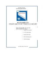 tiểu luận đề tài nghiên cứu tính hữu hiệu của mv vì bạn là cả thế giới