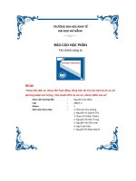 tiểu luận dòng tiền đầu tư dòng tiền hoạt động dòng tiền tài trợ của một dự án và cácphương pháp ước lượng tiêu chuẩn npv và các ưu nhược điểm của nó