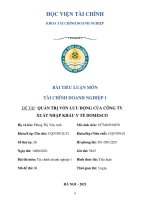 quản trị vốn lưu động của công ty xuất nhập khẩu y tế domesco