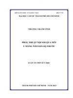phẫu thuật nội soi qua mũi u màng não sàn sọ trước