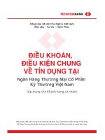 ĐIỀU KHOẢN, ĐIỀU KIỆN CHUNG VỀ TÍN DỤNG TẠI TECHCOMBANK (ÁP DỤNG CHO KHÁCH HÀNG CÁ NHÂN)