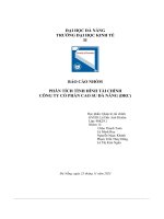 tiểu luận báo cáo nhóm phân tích tình hình tài chính công ty cổ phần cao su đà nẵng drc