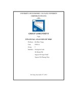 tiểu luận group assignment topic financial analysis of nike
