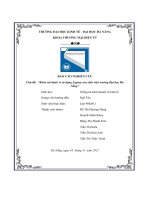 tiểu luận chủ đề khảo sát hành vi sử dụng laptop của sinh viên trường đại học đànẵng