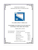 tiểu luận tài chính công ty nâng cao hoạch định tài chính và chi phí vốn của ctcp nhựa thiếu niên tiền phong