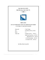tiểu luận báo cáo bài tập nhóm phân tích tài chính doanh nghiệp ctcp phục vụ mặt đất sài gòn