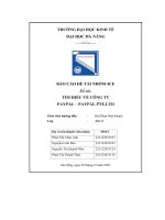 tiểu luận đề tài tìm hiểu về công ty paypal paypal pte ltd