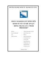 tiểu luận báo cáo khảo sát sinh viên kinh tế về vấn đề áp lực đồng trang lứa peerpressure