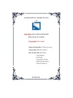 tiểu luận quản trị sản phẩm mới báo cáo dự án cuối kỳ tên sản phẩm túi xơ mướp