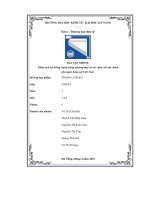 tiểu luận phân tích hệ thống ngân hàng thương mại và các định chế tài chínhphi ngân hàng tại việt nam