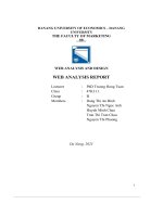 tiểu luận web analysis and design web analysis report