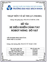 ĐỀ TÀI XE ĐIỀU KHIỂN CÁNH TAY ROBOT NÂNG ĐỒ VẬT