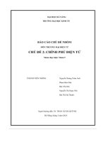 tiểu luận môn thương mại điện tử chủ đề 2 chính phủ điện tử