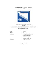 (Tiểu Luận) Chủ Đề Báo Cáo Phân Tích Tài Chính Công Ty Cổ Phần Nước Khoáng Quảng Ninh.pdf