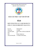 PHÂN TÍCH NĂNG LỰC CẠNH TRANH CỦA CÔNG TY TRÁCH NHIỆM HỮU HẠN EVIVA