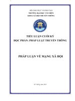 TIỂU LUẬN CUỐI KỲ HỌC PHẦN PHÁP LUẬT TRUYỀN THÔNG PHÁP LUẬN VỀ MẠNG XÃ HỘI