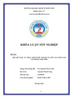 Tհu հút đầu tư trực tiếp nước ngoài của Mỹ vào Việt Nam giai đoạn 2018-2030