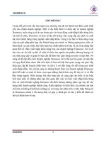 tổng quan về hoạt động kinh doanh của công ty cổ phần xuất nhập khẩu y tế domesco