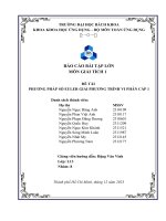 BÁO CÁO BÀI TẬP LỚN MÔN GIẢI TÍCH 1 ĐỀ TÀI PHƯƠNG PHÁP SỐ EULER GIẢI PHƯƠNG TRÌNH VI PHÂN CẤP 1